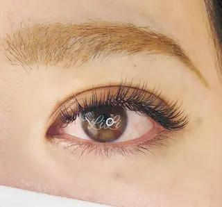 マツエク・マツパ まつげエクステLiLi所属・まつげエクステ LiLiのマツエク・マツパデザイン