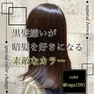 セミロング カラー レディースヘア💫 加藤たいが🐯のヘアスタイル