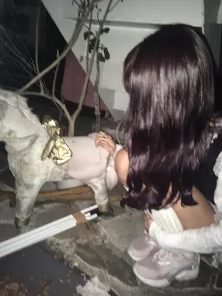 ロング カラー ピンクベージュ/新潟 万代/高橋桃葉🍑のヘアスタイル