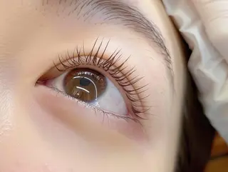 マツエク・マツパ Sylph 西宮店のマツエク・マツパデザイン