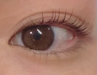 マツエク・マツパ ココラッシュ 町屋店のマツエク・マツパデザイン