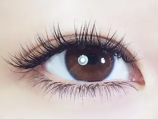 マツエク・マツパ FOXY LASH the beautyのマツエク・マツパデザイン