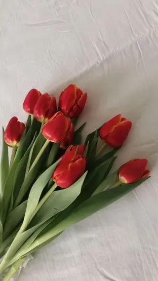 ネイル tricia表参道店所属・tricia表参道店 杉田 奈々のネイルデザイン