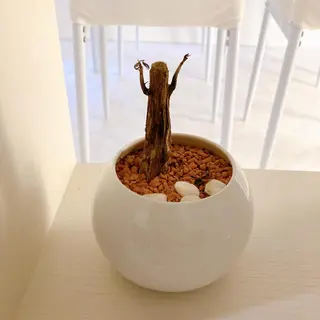 【Se-cure.】 セ・キュア.のエステ・リラクイメージ