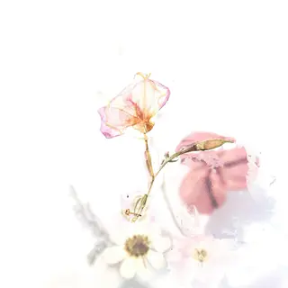 TIÁM eyelashのマツエク・マツパデザイン