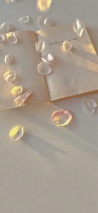 マツエク・マツパ 𝗿𝗲𝗼𝗻𝗮 🦦𓂃 𓈒𓏸のマツエク・マツパデザイン