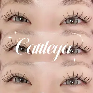 マツエク・マツパ Cattleya所属・morisaki ＊のマツエク・マツパデザイン