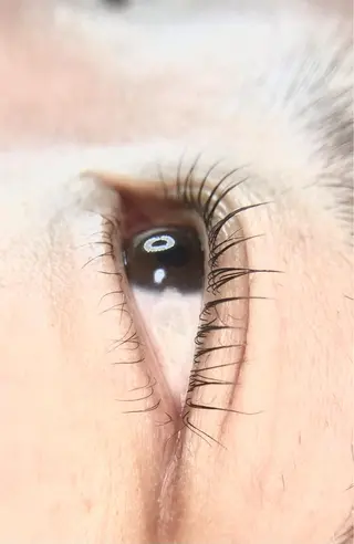 マツエク・マツパ リアン SAORIのマツエク・マツパデザイン