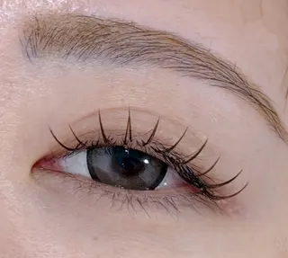 マツエク・マツパ Lil by Fan. 菊池のマツエク・マツパデザイン