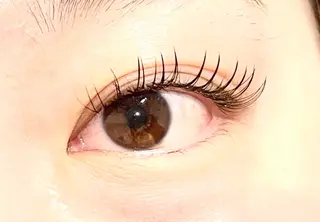 マツエク・マツパ Mii eyelistのマツエク・マツパデザイン
