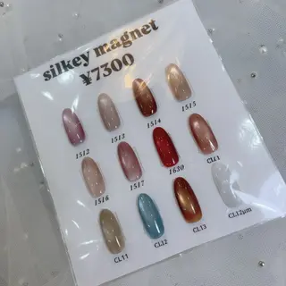 ネイル エルバイノリコ加藤 パラジェル取り扱い店のネイルデザイン