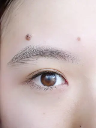 アイブロウ 骨格美眉ブロウリスト SHOKOの眉毛・アイブロウイメージ