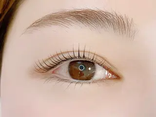 マツエク・マツパ Lotus所属・Lotus ロータスのマツエク・マツパデザイン