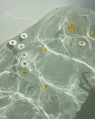 🦋MaaZlash 南流山FUKA🤍のマツエク・マツパデザイン