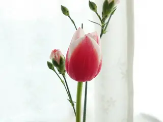 POLAルシアス店 　髙宗のエステ・リラクイメージ