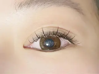 マツエク・マツパ ｍｉｐｐｙ 🪽のマツエク・マツパデザイン