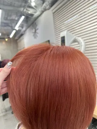 ショート カラー 韓国/ハイトーン/ ボブ🎀MIKU🎀のヘアスタイル