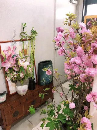 ナチュレ所属・ナチュ レのマツエク・マツパデザイン