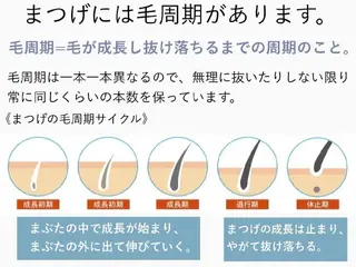 マツエク・マツパ 🍒♡RiRi  Lash ♡🍒のマツエク・マツパデザイン