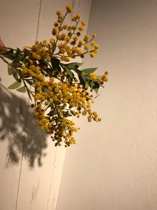 ネイル kichi･:* みじゅのネイルデザイン