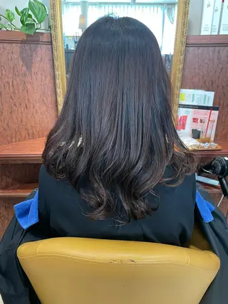 菅原 智恵のヘアスタイル