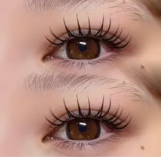 マツエク・マツパ lush&blow 　JIJI所属・lush &blow JIJIのマツエク・マツパデザイン