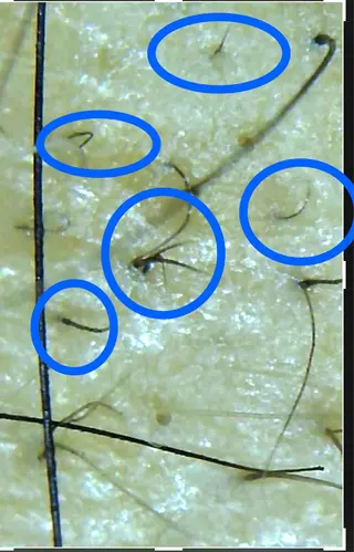 セントラル鍼灸院 Re:laxyのエステ・リラクイメージ