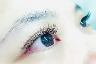 マツエク・マツパ アイブロウ/まつぱ T-lash恵比寿店のマツエク・マツパデザイン