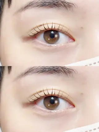 マツエク・マツパ 𝐞𝐢𝐠𝐡𝐭 yuzuki🫧のマツエク・マツパデザイン