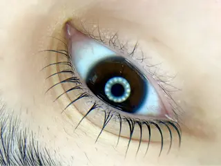 マツエク・マツパ tomte トムテのマツエク・マツパデザイン