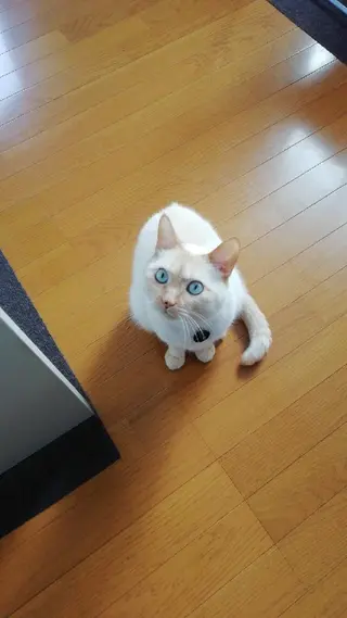 小野塚 充のエステ・リラクイメージ