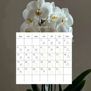 コワファースト長崎シャンプーボーイ所属・カラーモデル募集中 🫧HONOKAのヘアスタイル