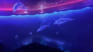 肩こり/首こり/ 小出愛のその他イメージ