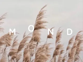 マツエク・マツパ MOND🧸 ICHIKAのマツエク・マツパデザイン