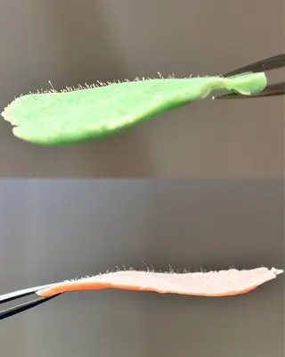 and eye salon所属・and minaのその他イメージ