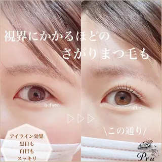 マツエク・マツパ プル eyelashのマツエク・マツパデザイン