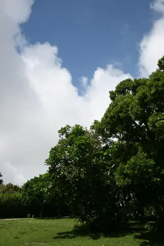 西新美容室 ナチュラルオーブンのヘアスタイル