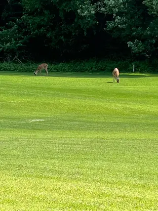 Sona hair & eyelash salon所属・紙屋 隼人のヘアスタイル