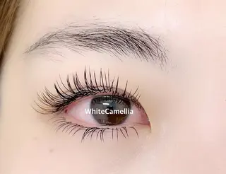 マツエク・マツパ 韓国風 束感まつ毛 🦋sanacoのマツエク・マツパデザイン