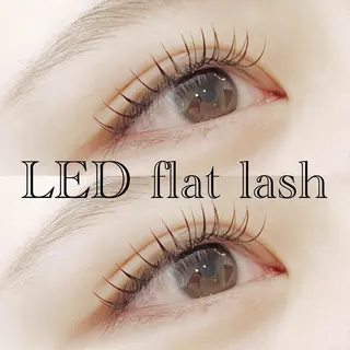 マツエク・マツパ PROGRESS 龍ヶ崎 小泉🦋のマツエク・マツパデザイン