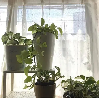 カラー nono/パーマ /顔まわりカット🐈のヘアスタイル