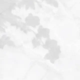 EYEstylist ·ai MOERIのマツエク・マツパデザイン