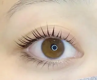 マツエク・マツパ ANELA福島店所属・ANELA福島店 SATOのマツエク・マツパデザイン