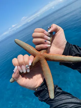 セミロング ネイル nail salon azuのネイルデザイン