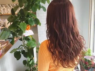 ロング カラー ぱつボブ/ ショート/YUKIのヘアスタイル