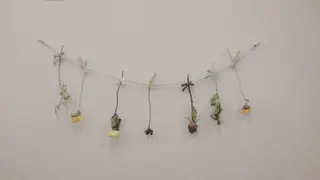 マツエク・マツパ siklap シクラプのマツエク・マツパデザイン