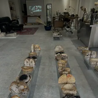 ネイル 個性派ネイル シノのネイルデザイン