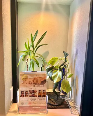 肩こり改善 専門店Fleuriのエステ・リラクイメージ