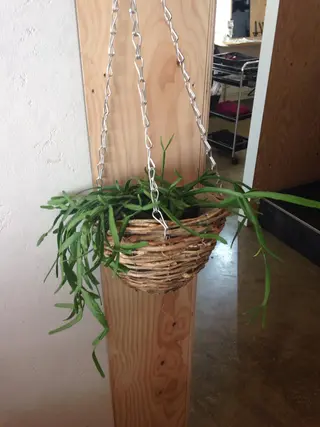 💎髪質改善💎 デザイナーshinのヘアスタイル