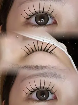 マツエク・マツパ 🪞Purasia. 🫧韓国肌管理💎の眉毛・アイブロウイメージ